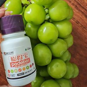 稼贝邦植保—蔬菜膨果、着色、增甜一个也不能
